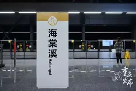 这里很重庆｜轨道列车遇上海棠烟雨，李子坝都要认输！图片