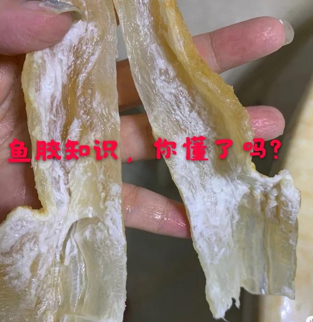 花胶会碎 2026年花胶打碎后会更易吸收吗