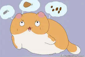 4种手段猫常用于获取食物，家猫会合力对付铲屎官图片