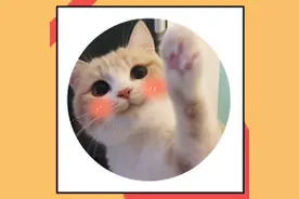 玄学找猫大法，铲屎官们了解一下图片