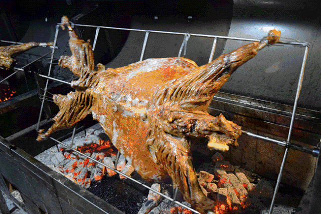 花胶炖羊肉可以吃吗 花胶炖羊肉可以吃吗有毒吗