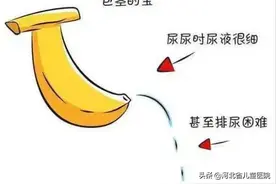 切？不切？切？不切？图片