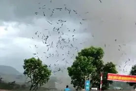 越南发生特大龙卷风，摧毁工厂和许多民居，造成3死18重伤图片