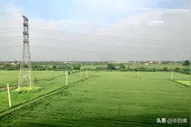 高铁南京到杭州，平稳静看窗口飞驰杭嘉湖平原暮春江南图片