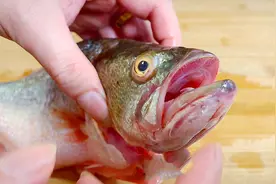 清蒸鲈鱼时，牢记“2不放，加3样”，鱼肉鲜嫩有营养，不腥还不柴图片