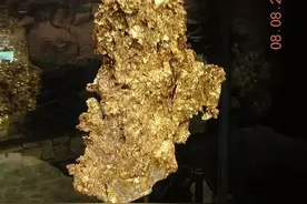 采矿工人井下被石块砸脚！细看竟是3100克狗头金，为何比纯金贵？图片