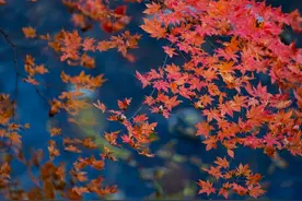 想你了，好想你，有一种真爱，无缘夫妻，却会想念一世图片