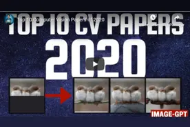 2020 Top10 CV论文总结：论文，代码，解读和视频图片