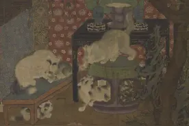 古人为何不提倡养猫？图片