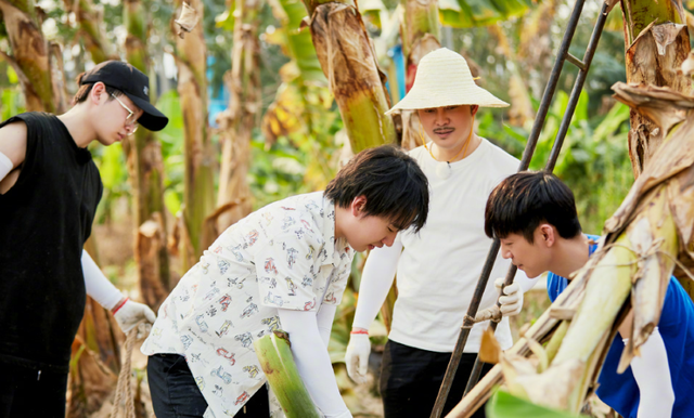 陶虹当着"前夫"面,吐槽徐峥,为综艺也是拼了(何炅陶虹爱的证明) - 冷