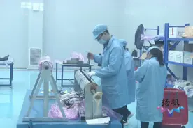 “招商大使”在行动 李俊：助力扬州航空产业 为高科技招商添砖加瓦图片