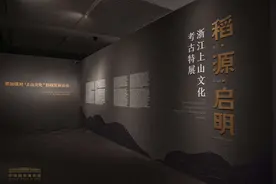 稻·源·启明——浙江上山文化考古特展暨万年浙江与中华文明学术座谈会在国博举行图片