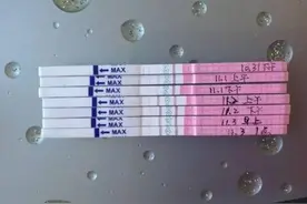 女性怎么知道自己正在排卵？图片