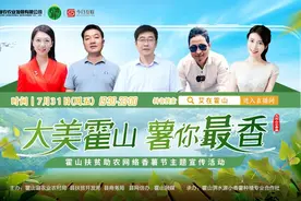 安徽霍山：小香薯直播牵动大扶贫 众多网友为"爱"下单图片