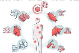 细胞的分化、衰老、凋亡与癌变图片