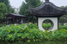 满意的宜兴深度游（含详细攻略），宜兴旅游攻略图片