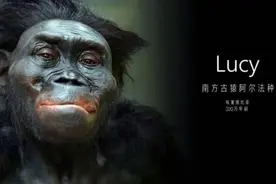 人类︱请别忘了自己最初的样子图片