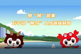 视频|万宁出台人才新政策， “候鸟”人才快快看过来！图片