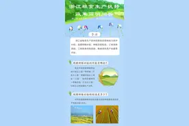 浙江扶贫异地搬迁怎么补贴？粮食生产扶持政策有哪些？图解来啦图片