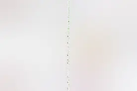 等了那么久终于等到一个卖茶女，跟各位分享一下，哈哈图片