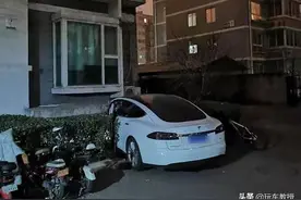 新车6天就坏？但又最不愁卖，特斯拉真是神奇的车企图片