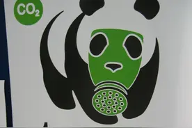 戴防毒面具的熊猫图片