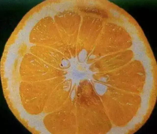 銆屽啘鍖栫鏅€嶆鐗╃己绱犲師鍥犲強 妞嶇墿缂虹礌鐥囩姸瀵圭収琛? onerror=