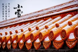 青岛最佳海鸥观赏地大集合，这个冬天，安排！（附乘车攻略）图片