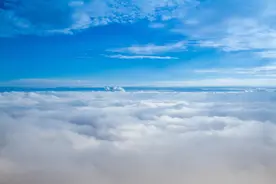 愿在蔚蓝的天空下，茁壮成长图片