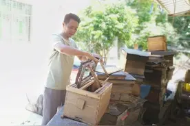 临高和舍高龙村"蜂司令"柯吉全：追花逐蜜酿造"甜蜜事业"图片