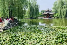 红楼梦的拍摄地！贾宝玉林黛玉的家，40元的北京大观园你看值吗？图片