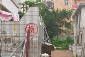深圳富婆们的生活之八、老天替她行道的女人图片