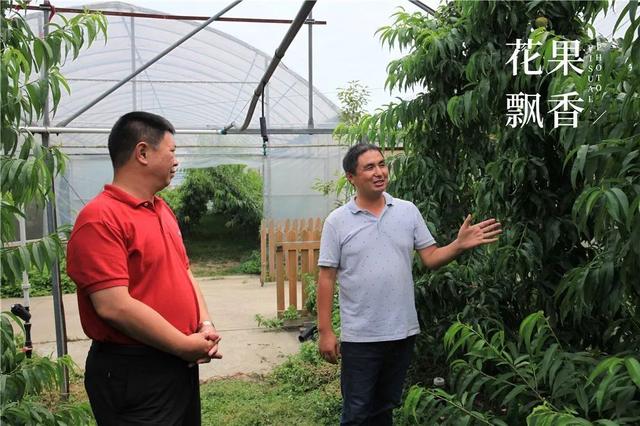 谈恋爱、听音乐、坐月子……这家果园的管理方式太奇葩