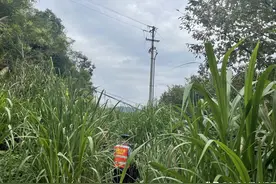 高速公路噪音扰民？路政小哥披荆斩棘走上“群众路线”图片