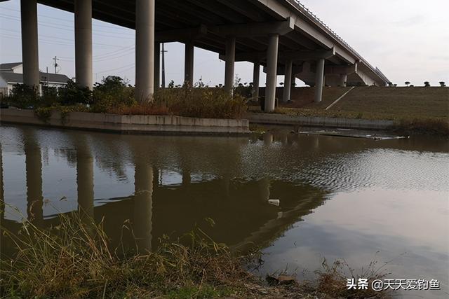 初冬手竿钓鲤鱼的5大秘诀，鲤鱼现在不钓，怕是要等明年