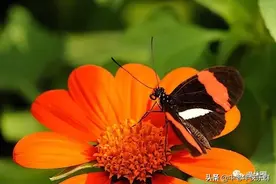 老了谁来照顾我？看完此文终于有答案了！图片
