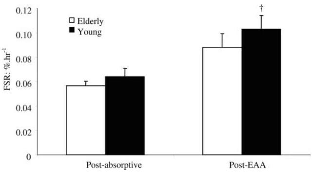 不健身直接吃蛋白粉会怎么样？
