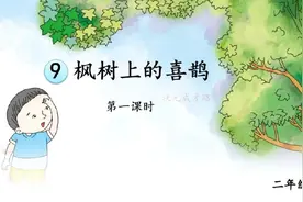 二年级语文下册第九课《枫树上的喜鹊》课堂实录笔记图片