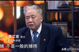 电捕是鱼类种群数量下降的主要原因，是下一个严打目标？希望！图片