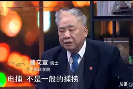 电捕是鱼类种群数量下降的主要原因，是下一个严打目标？希望！图片