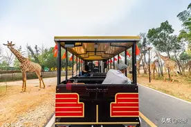 投资250亿的游乐园，比上海迪士尼大2倍，全部玩下来要一星期图片