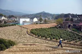 山村村民建洗衣池，惠及数十户，古稀大爷来此“上了瘾”图片