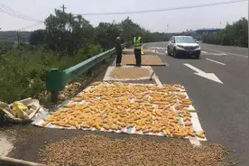 司机压坏路边的花生，老农索赔20元一颗，不给钱不让走，最后咋样图片