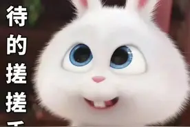 快看！这些好的公办院校学费不贵，环境好，而且录取分不高图片