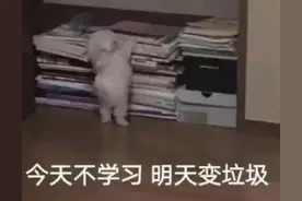 学习表情包 | 暑假作业被安排了，辅导班也报上了吧图片