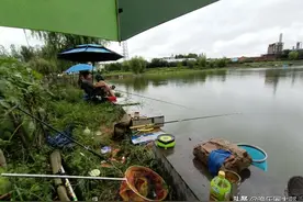 网络上评判钓鱼运动四宗罪，广大钓友们你们认同吗？图片