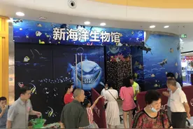 四川眉山万达海洋馆“盛大”开放？市民吐槽：霸气鲨鱼还不如花鲢···图片