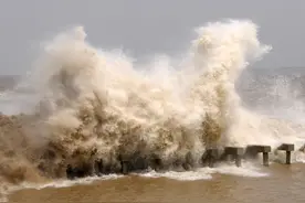 为了忘却的纪念图片