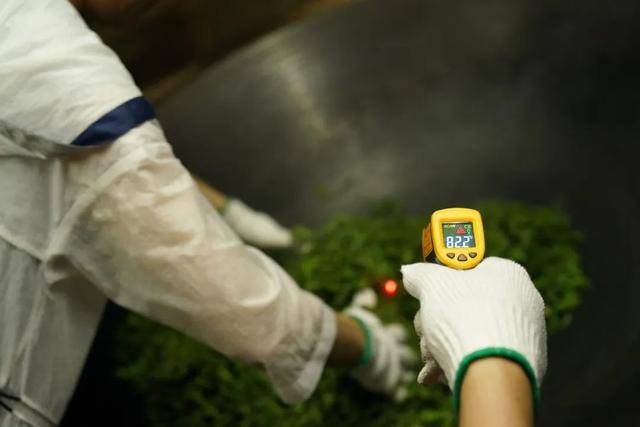 从藏茶客角度：只靠喝，能选出一款有存放潜力的茶吗？（下）