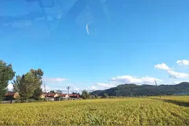 农村土地承包经营权确权问题解答图片